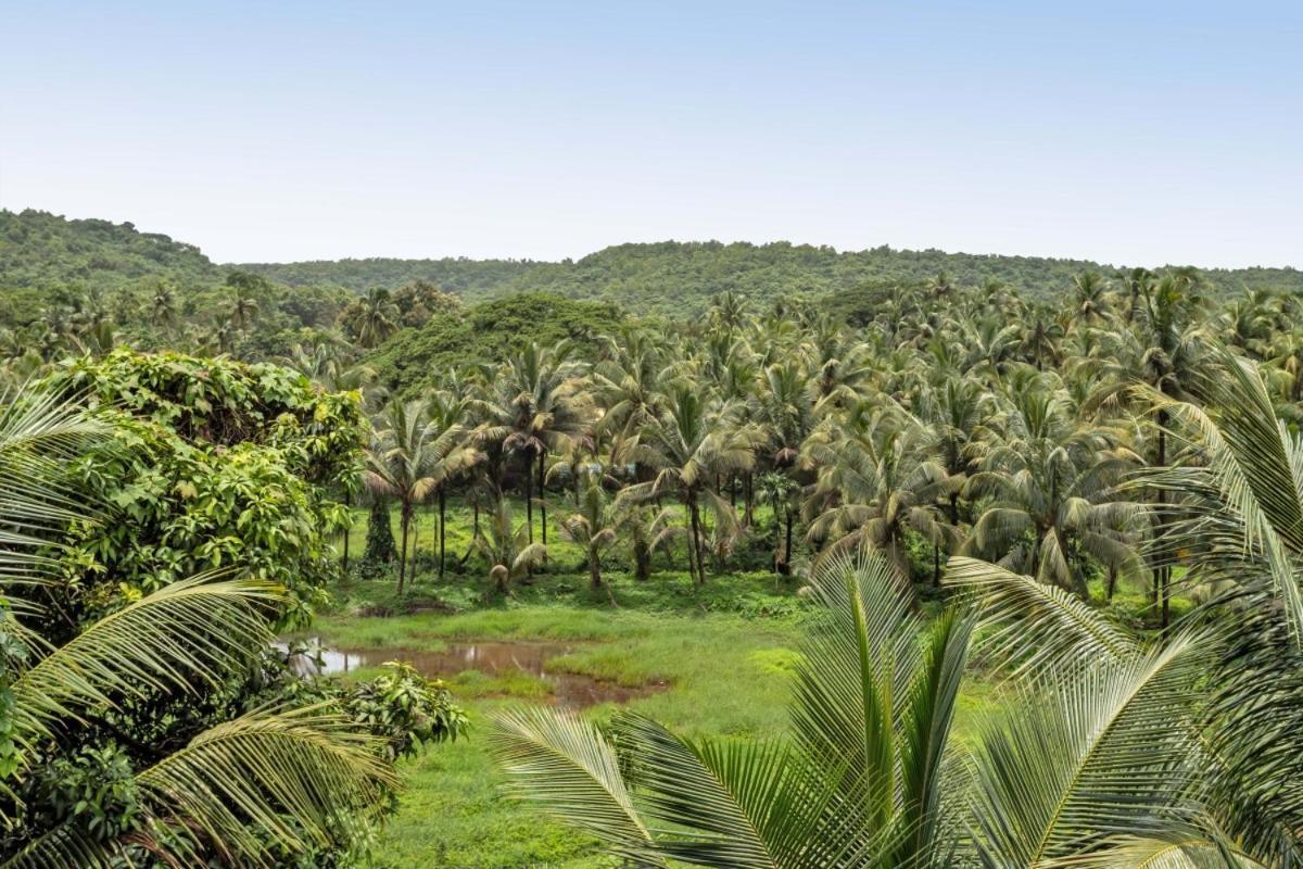 Ikigai Luxury Stays Gamle Goa Eksteriør bilde